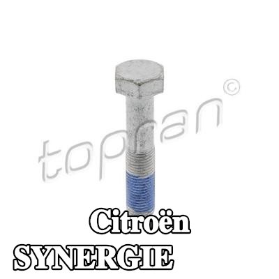 TOPRAN برغي البكرة — Citroën Synergie