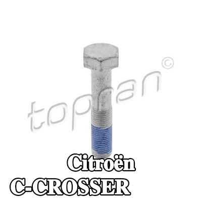 TOPRAN برغي البكرة — Citroën C-crosser