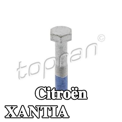 TOPRAN برغي البكرة — Citroën Xantia