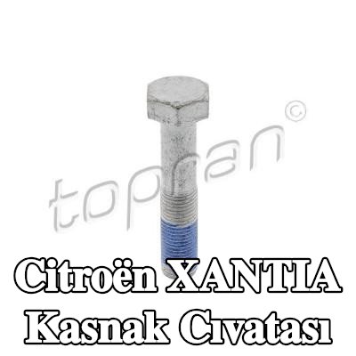 TOPRAN Kasnak Cıvatası — Citroën Xantia