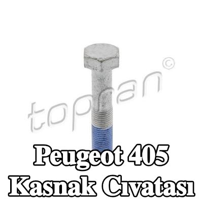TOPRAN Kasnak Cıvatası — 1995 Peugeot 405