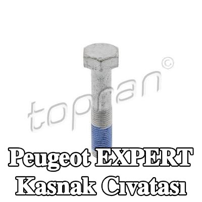 TOPRAN Kasnak Cıvatası — Peugeot Expert