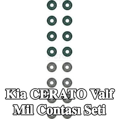 REINZ Valf mil contası seti — 2015 Kia Cerato