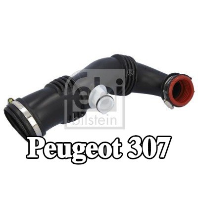 FEBI BILSTEIN أنبوب السحب، فلتر الهواء — 2008 Peugeot 307