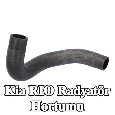 FEBI BILSTEIN Radyatör Hortumu Alt Sağ — Kia Rio