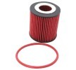 K&N Filters Hava Emme Sistemi — Ford Escort (1)