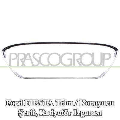 PRASCO Trim / koruyucu şerit, radyatör ızgarası Premium — Ford Fiesta