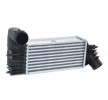 RIDEX Intercooler — Peugeot 607 (2)