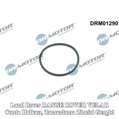 DR.MOTOR AUTOMOTIVE Conta Halkası, zamanlama zinciri gergisi — Land Rover Range Rover Velar