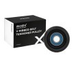 RIDEX Gergi kasnağı Ø: 75, 5mm, Outer Diameter: 76mm — Land Rover Defender (1)