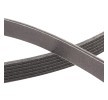 RIDEX PLUS Serpantin kayışı 2215mm, Number of ribs: 6 — Chevrolet Astro (4)