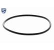 VEMO EGR valfi EXPERT KITS + — Volkswagen Lt (2)