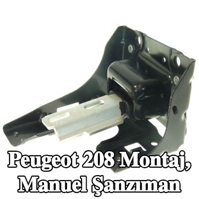 CORTECO Montaj, manuel şanzıman — 2012 Peugeot 208