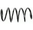 SACHS Helezon yay — Volkswagen Scirocco (4)