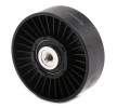 TOPRAN Saptırma / kılavuz kasnağı, V-ribbed belt Outer Diameter: 78mm, oluklar hariç — 1997 SEAT Toledo (2)