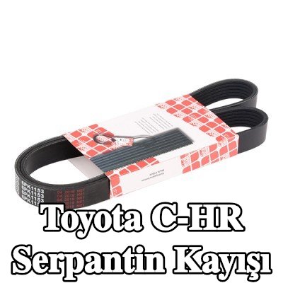 FEBI BILSTEIN Serpantin kayışı 1153mm, Number of ribs: 6 — Toyota C-hr