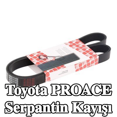 FEBI BILSTEIN Serpantin kayışı 1153mm, Number of ribs: 6 — Toyota Proace