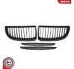 ESEN SKV Her İki Taraf Radyatör Izgarası, mat siyah — 2012 BMW 3 Series (1)