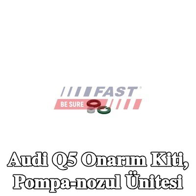 FAST Onarım Kiti, pompa-nozul ünitesi — 2012 Audi Q5
