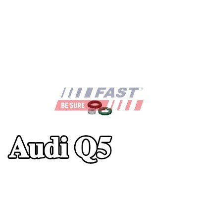 FAST طقم إصلاح، وحدة المضخة والفوهة — 2012 Audi Q5