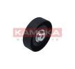 KAMOKA Saptırma / kılavuz kasnağı, V-ribbed belt Outer Diameter: 100mm, aksesuarsız — 1995 Nissan Sunny (3)