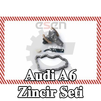 ESEN SKV Eksantrik mili için triger zinciri kiti — 1995 Audi A6