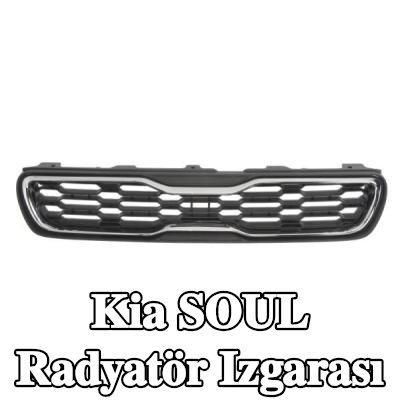 BLIC Radyatör ızgarası, krom/siyah — 2012 Kia Soul