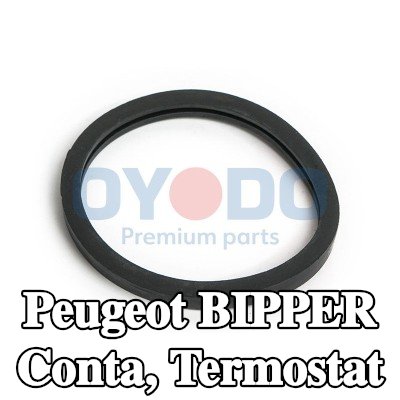 Oyodo Conta, termostat — Peugeot Bipper