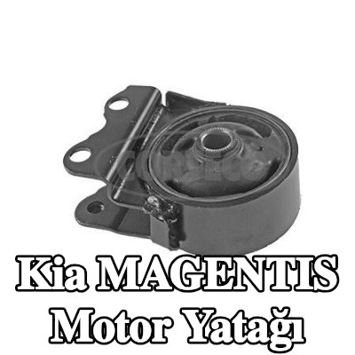 CORTECO Motor yatağı — 2002 Kia Magentis