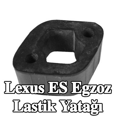 PLANET TECH Egzoz lastik yatağı, egzoz tarafı — Lexus Es