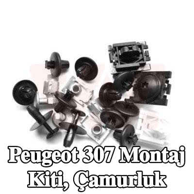 VAN WEZEL Montaj Kiti, çamurluk — Peugeot 307