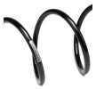 SACHS Helezon yay — Renault Modus / Grand Modus (3)