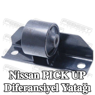 FEBEST Diferansiyel yatağı Arka Aks — Nissan Pick Up