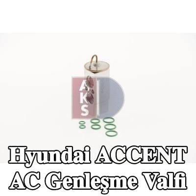 AKS DASIS AC genleşme valfi — 1997 Hyundai Accent