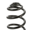 SACHS Helezon yay — BMW X5 (3)