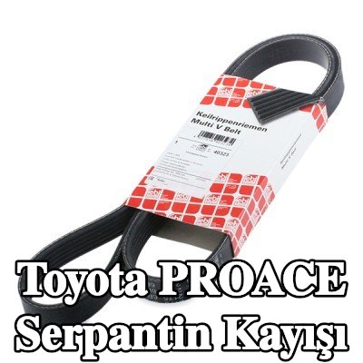 FEBI BILSTEIN Serpantin kayışı 1245mm, Number of ribs: 6 — 2014 Toyota Proace