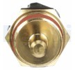 DELPHI Sensör, coolant temperature 3/8" PT — 1997 Mitsubishi Grandis (2)