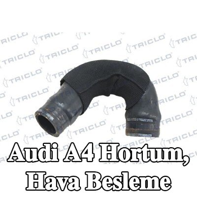 TRICLO Hortum, hava besleme — 2012 Audi A4