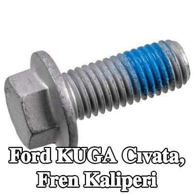 FEBI BILSTEIN Cıvata, fren kaliperi — Ford Kuga