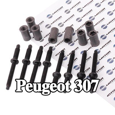DR.MOTOR AUTOMOTIVE طقم إصلاح، حامل الحاقن — Peugeot 307