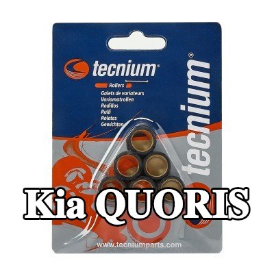 VICMA محامل الطرف الكبير — Kia Quoris
