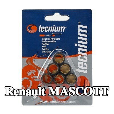 VICMA محامل الطرف الكبير — Renault Mascott