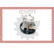 ESEN SKV Hidrolik direksiyon pompası — 2000 Mitsubishi L200 (3)