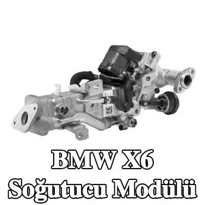 BorgWarner Soğutucu Modülü — BMW X6