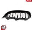 ESEN SKV Her İki Taraf Radyatör Izgarası, Parlak, siyah — 2016 BMW 4 Series (8)