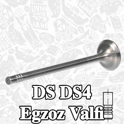 ET ENGINETEAM Egzoz valfi, zırhlı valf yuvası, Krom kaplı valf gövdesi, Sertleştirilmiş valf sapı ucu — DS Ds4
