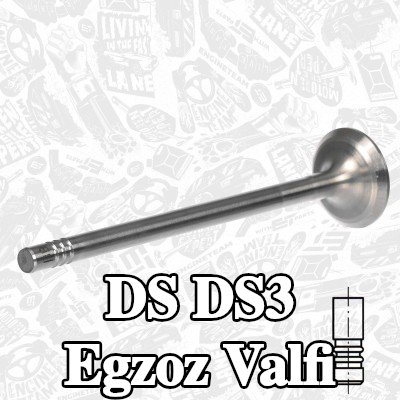 ET ENGINETEAM Egzoz valfi, zırhlı valf yuvası, Krom kaplı valf gövdesi, Sertleştirilmiş valf sapı ucu — DS Ds3