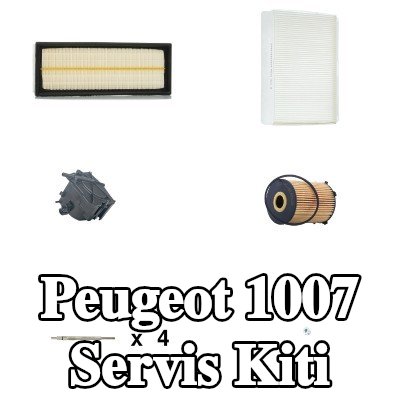 RIDEX Servis kiti — Peugeot 1007