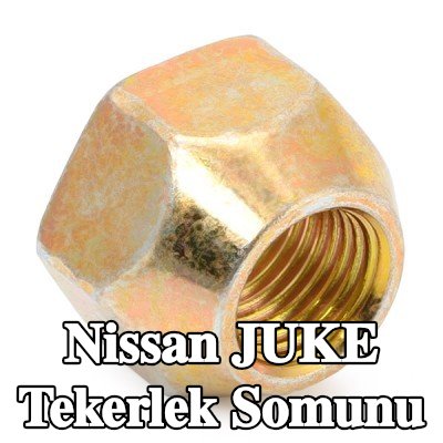 FEBI BILSTEIN Tekerlek Somunu 21 — Nissan Juke