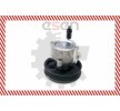 ESEN SKV Hidrolik direksiyon pompası — Nissan Kubistar (2)